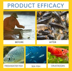 🎣 Concentrated Fish Attractant Liquid – 🐟Fast-Acting Red Worm Formula -8JX3